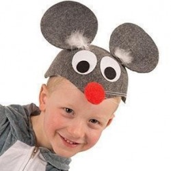 Peles komplekts - filca cepure un deguns