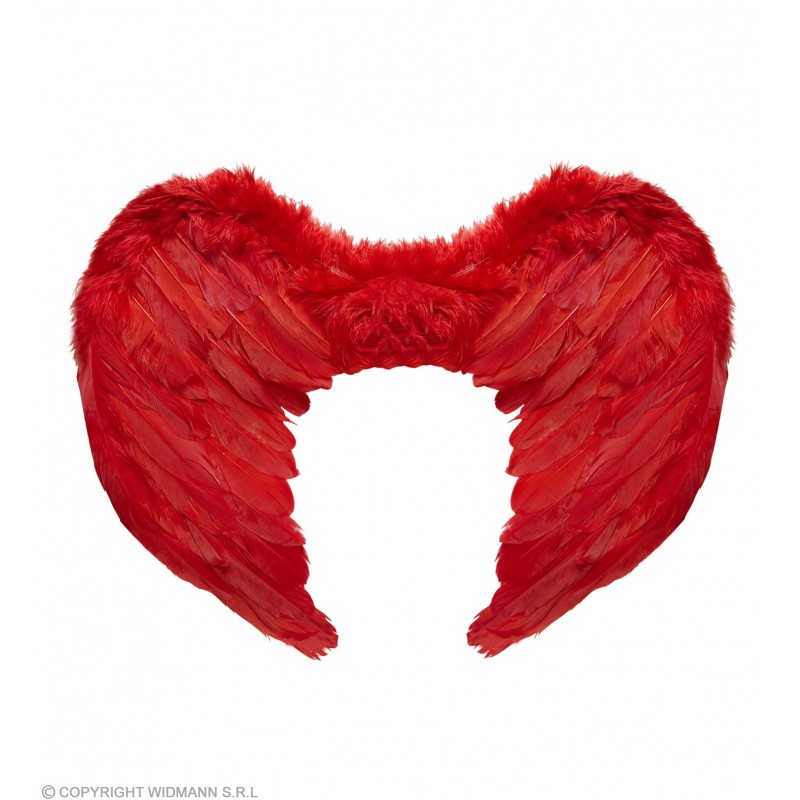 RED FEATHERED WINGS 37x50 cm