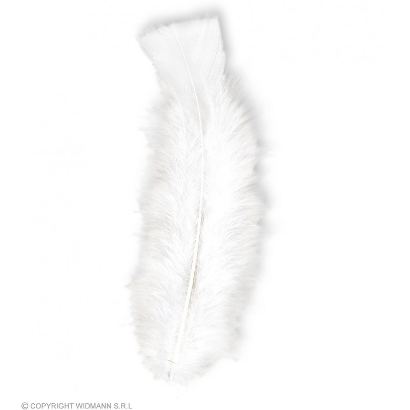 50 FEATHERS white - abt. 10 cm