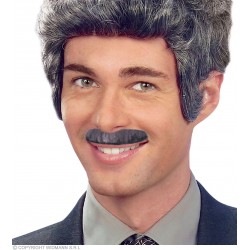 Pelēkās ūsas ar līmplēvi,  6 veidi 