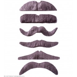 Pelēkās ūsas ar līmplēvi,  6 veidi 