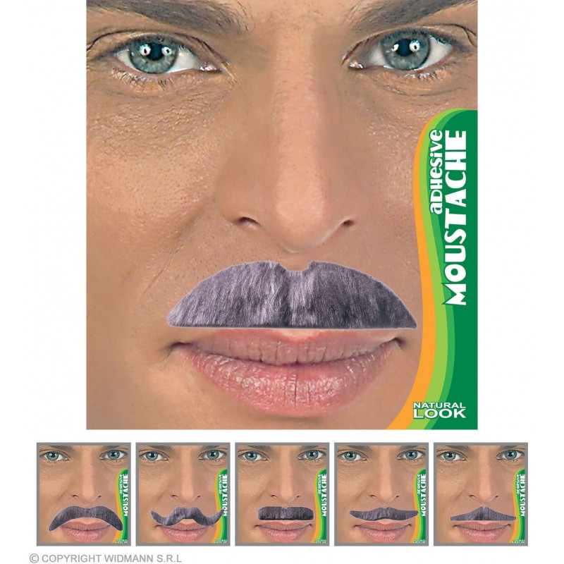 Pelēkās ūsas ar līmplēvi,  6 veidi 