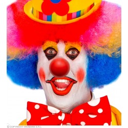 "FOAM LATEX CLOWN NOSE"