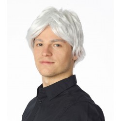 Klasiskā vīriešu parūka sudrab-pelēka krāsa 