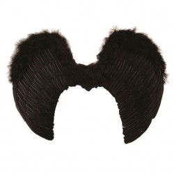 Melni eņģeļa spārni 