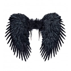 Melno spalvu eņģeļa spārni, 80x60 cm