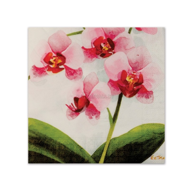 Salvetes ar attēlu Rozā orhideja 33cm, 20.gab.
